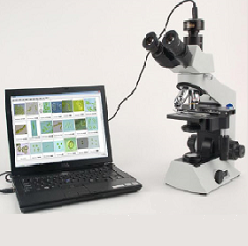 AlgaeC型浮游生物智能鉴定计数系统